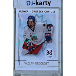 2025/26 Real Cards serie 1 #HG-11 Václav Nedorost Hlinka-Gretzky cup U18 Gold xx/50