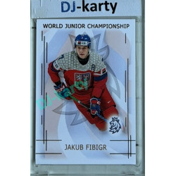 2025/26 Real Cards serie 1 #U20-06 Jakub Fibigr World junior Championship U20 2025/26 Gold xx/50
