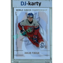 2025/26 Real Cards serie 1 #U20-06 Jakub Fibigr World junior Championship U20 2025/26 Silver xx/22