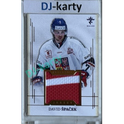 2025/26 Real Cards serie 1 #AJ-23 David Špaček Authentic Jersey Gold 10/19