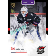 2025/26 Goal Cards Maxa liga 2.s. #CHOM - 18 Ádám Vay 