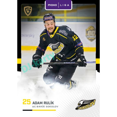 2025/26 Goal Cards Maxa liga 2.s. #SOK - 18 Adam Rulík Canvas Parallel