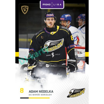 2025/26 Goal Cards Maxa liga 2.s. #SOK - 16 Adam Nedelka