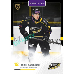 2025/26 Goal Cards Maxa liga 2.s. #SOK - 20 Robin Sapoušek