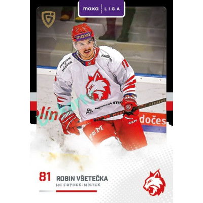 2025/26 Goal Cards Maxa liga 2.s. #FMI - 28 Robin Všetečka Canvas Parallel