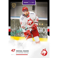 2025/26 Goal Cards Maxa liga 2.s. #FMI - 21 Michal Ramik
