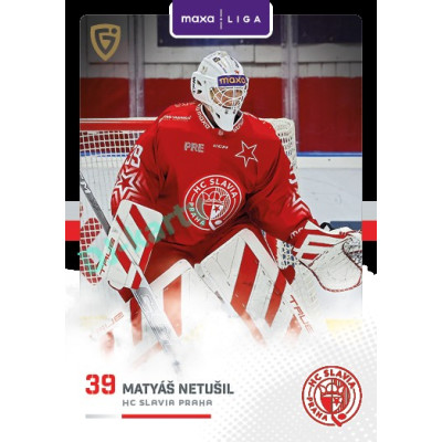 2025/26 Goal Cards Maxa liga 2.s. #SLA - 28 Matyáš Netušil Canvas Parallel