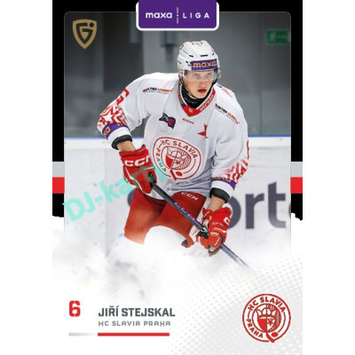 2025/26 Goal Cards Maxa liga 2.s. #SLA - 19 Jiří Stejskal Canvas Parallel