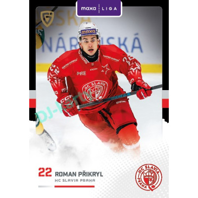 2025/26 Goal Cards Maxa liga 2.s. #SLA - 26 Roman Přikryl Canvas Parallel
