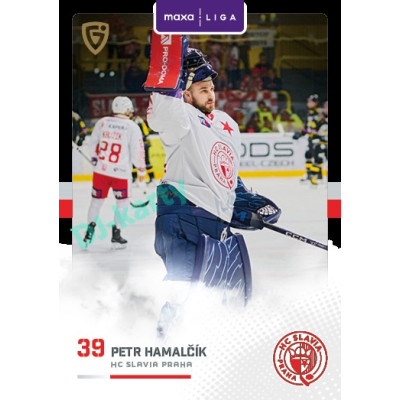 2025/26 Goal Cards Maxa liga 2.s. #SLA - 16 Petr Hamalčík Canvas Parallel
