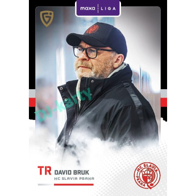 2025/26 Goal Cards Maxa liga 2.s. #SLA - 32 David Bruk
