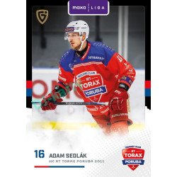 2025/26 Goal Cards Maxa liga 2.s. #POR - 18 Adam Sedlák Canvas Parallel