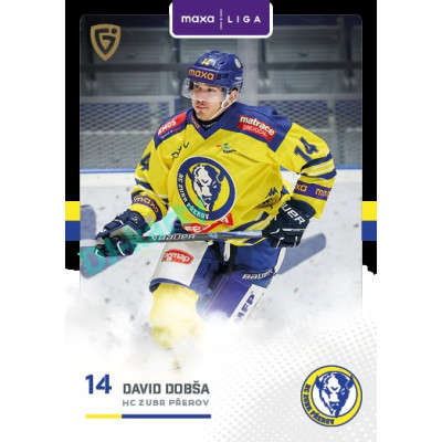 2025/26 Goal Cards Maxa liga 2.s. #PRE - 23 David Dobša
