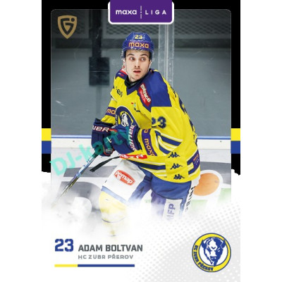 2025/26 Goal Cards Maxa liga 2.s. #PRE - 19 Adam Boltvan