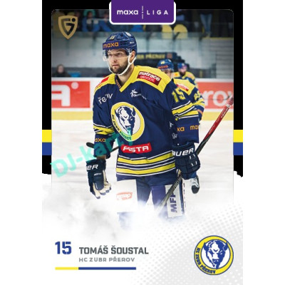 2025/26 Goal Cards Maxa liga 2.s. #PRE - 24 Tomáš Šoustal Canvas Parallel