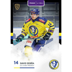 2025/26 Goal Cards Maxa liga 2.s. #PRE - 23 David Dobša Canvas Parallel