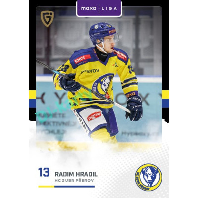 2025/26 Goal Cards Maxa liga 2.s. #PRE - 20 Radim Hradil Canvas Parallel