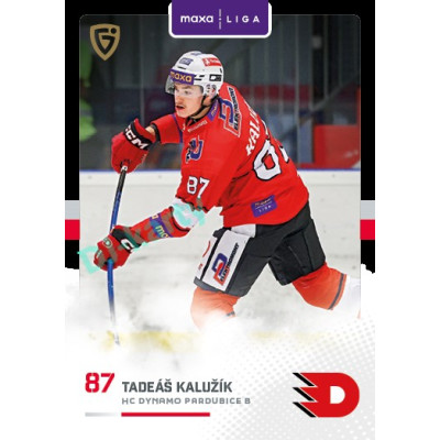2025/26 Goal Cards Maxa liga 2.s. #PCE - 20 Tadeáš Kalužík