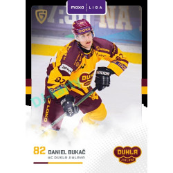 2025/26 Goal Cards Maxa liga 2.s. #JIH - 23 Daniel Bukač Canvas Parallel