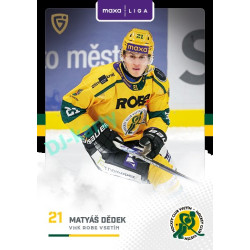 2025/26 Goal Cards Maxa liga 2.s. #VSE - 24 Matyáš Dědek
