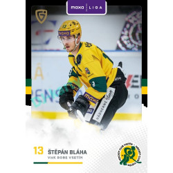 2025/26 Goal Cards Maxa liga 2.s. #VSE - 21 Štěpán Bláha