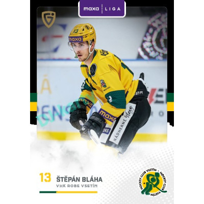 2025/26 Goal Cards Maxa liga 2.s. #VSE - 21 Štěpán Bláha