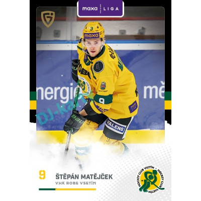 2025/26 Goal Cards Maxa liga 2.s. #VSE - 20 Štěpán Matějček