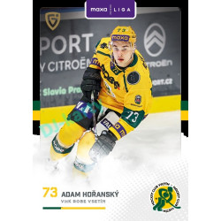 2025/26 Goal Cards Maxa liga 2.s. #VSE - 19 Adam Hořanský