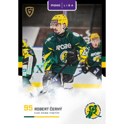 2025/26 Goal Cards Maxa liga 2.s. #VSE - 29 Robert Černý