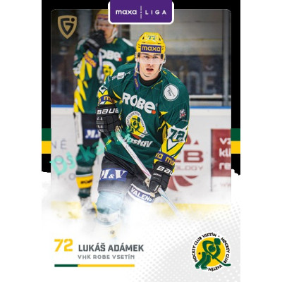 2025/26 Goal Cards Maxa liga 2.s. #VSE - 26 Lukáš Adámek