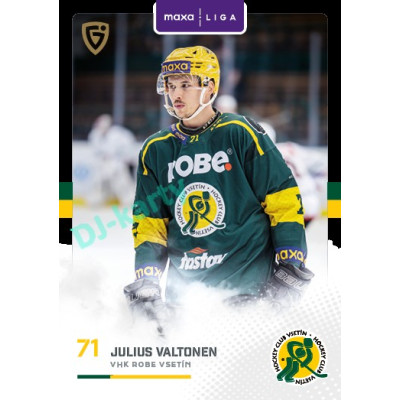 2025/26 Goal Cards Maxa liga 2.s. #VSE - 23 Julius Valtonen Canvas Parallel