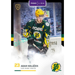 2025/26 Goal Cards Maxa liga 2.s. #VSE - 27 Adam Koláček Canvas Parallel