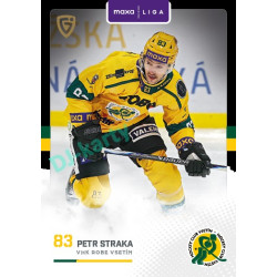 2025/26 Goal Cards Maxa liga 2.s. #VSE - 25 Petr Straka Canvas Parallel