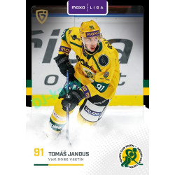 2025/26 Goal Cards Maxa liga 2.s. #VSE - 22 Tomáš Jandus Canvas Parallel