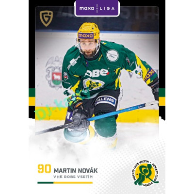 2025/26 Goal Cards Maxa liga 2.s. #VSE - 28 Martin Novák Canvas Parallel