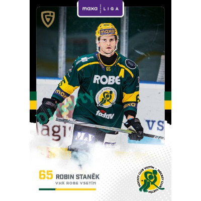 2025/26 Goal Cards Maxa liga 2.s. #VSE - 17 Robin Staněk Canvas Parallel