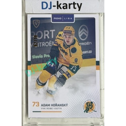 2025/26 Goal Cards Maxa liga 2.s. #VSE - 19 Adam Hořanský Parallel xx/10