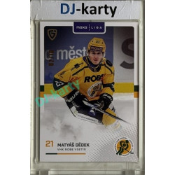 2025/26 Goal Cards Maxa liga 2.s. #VSE - 24 Matyáš Dědek Parallel xx/10