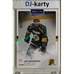 2025/26 Goal Cards Maxa liga 2.s. #VSE - 33 Jan Zahradníček Parallel xx/10
