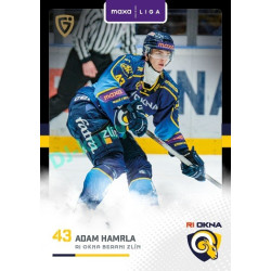 2025/26 Goal Cards Maxa liga 2.s. #ZLI - 33 Adam Hamrla