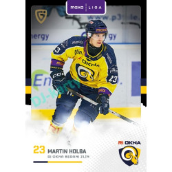 2025/26 Goal Cards Maxa liga 2.s. #ZLI - 35 Martin Holba
