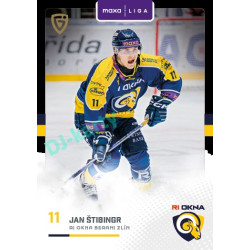 2025/26 Goal Cards Maxa liga 2.s. #ZLI - 31 Jan Štibingr Canvas Parallel