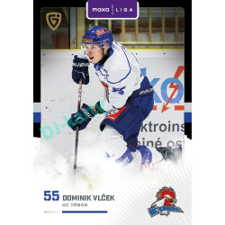2025/26 Goal Cards Maxa liga 2.s. #TAB - 26 Dominik Vlček Canvas Parallel