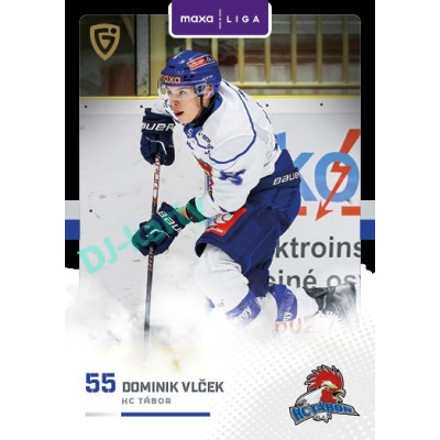 2025/26 Goal Cards Maxa liga 2.s. #TAB - 26 Dominik Vlček Canvas Parallel