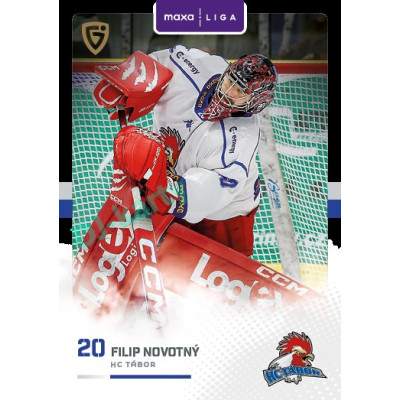 2025/26 Goal Cards Maxa liga 2.s. #TAB - 15 Filip Novotný Canvas Parallel