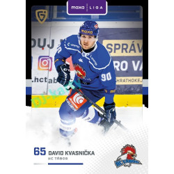 2025/26 Goal Cards Maxa liga 2.s. #TAB - 19 David Kvasnička Canvas Parallel