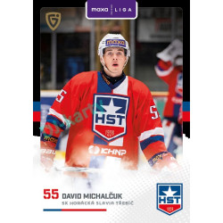 2025/26 Goal Cards Maxa liga 2.s. #TRE - 25 David Michalčuk