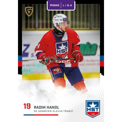 2025/26 Goal Cards Maxa liga 2.s. #TRE - 17 Radim Handl