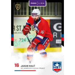 2025/26 Goal Cards Maxa liga 2.s. #TRE - 18 Jakub Malý Canvas Parallel