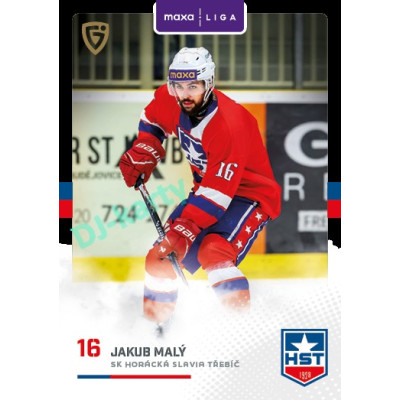 2025/26 Goal Cards Maxa liga 2.s. #TRE - 18 Jakub Malý Canvas Parallel
